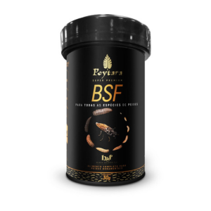 Black Soldier Fly Crisps